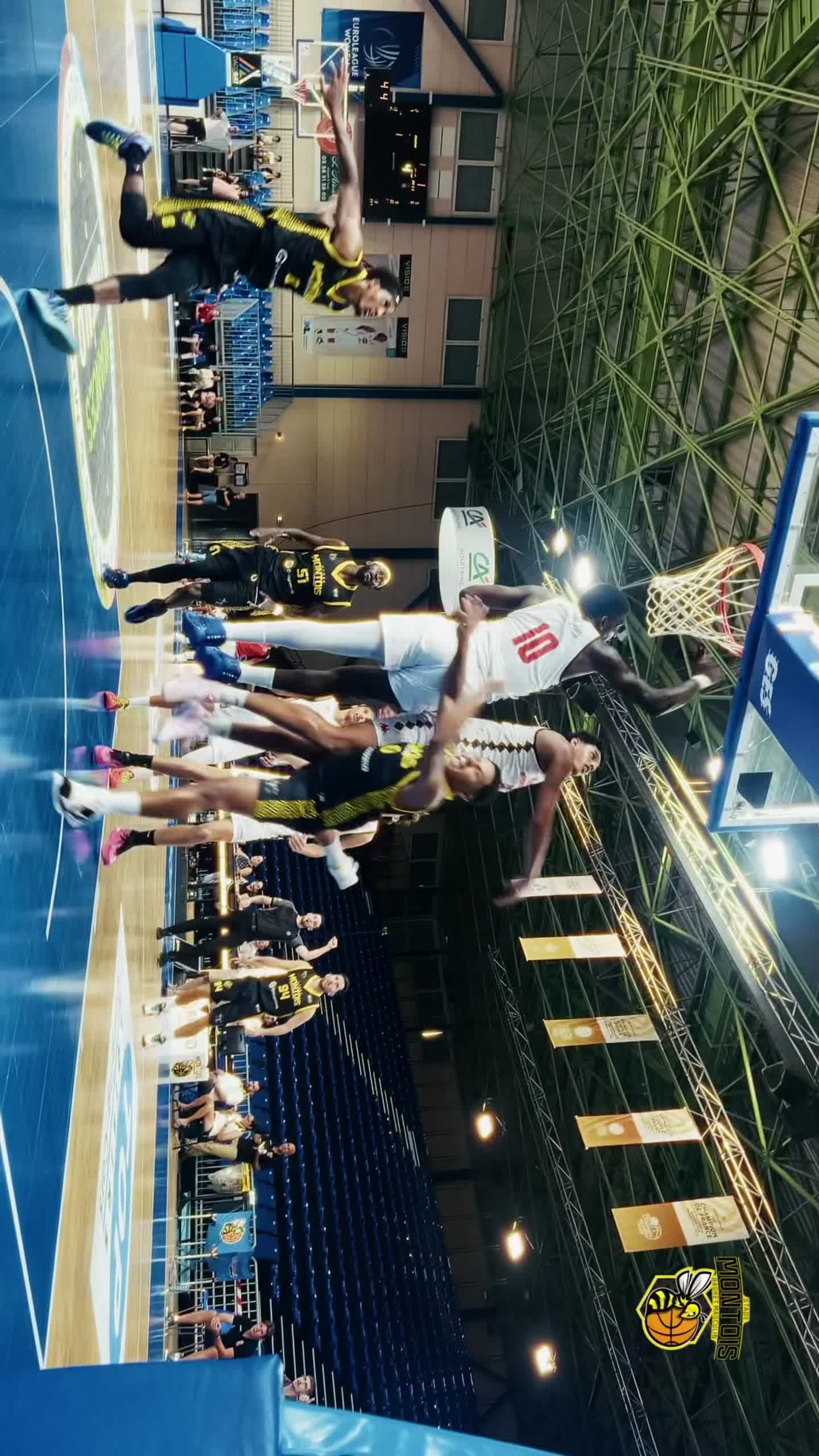 Action de basket extraite des highlights du Stade Montois